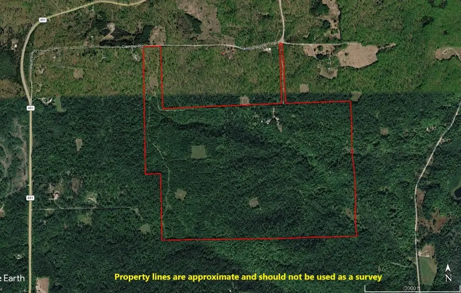 5917 Gamble Road, Atlanta, MI 49709 - #2