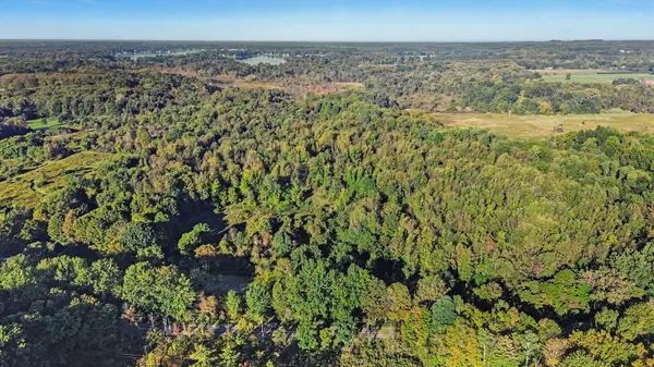N County Line Road, Watervliet, MI 49098
