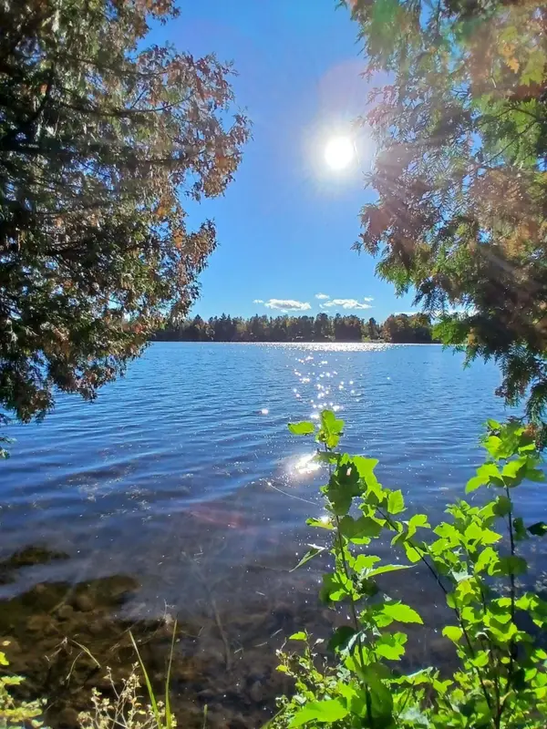 2625 River Bluff Drive, Alpena, MI 49707