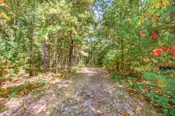 V/L 40 A S Locust Avenue, White Cloud, MI 49349