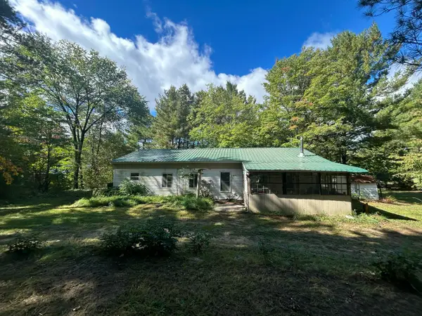 9177 S Bonney Road, Chase, MI 49623