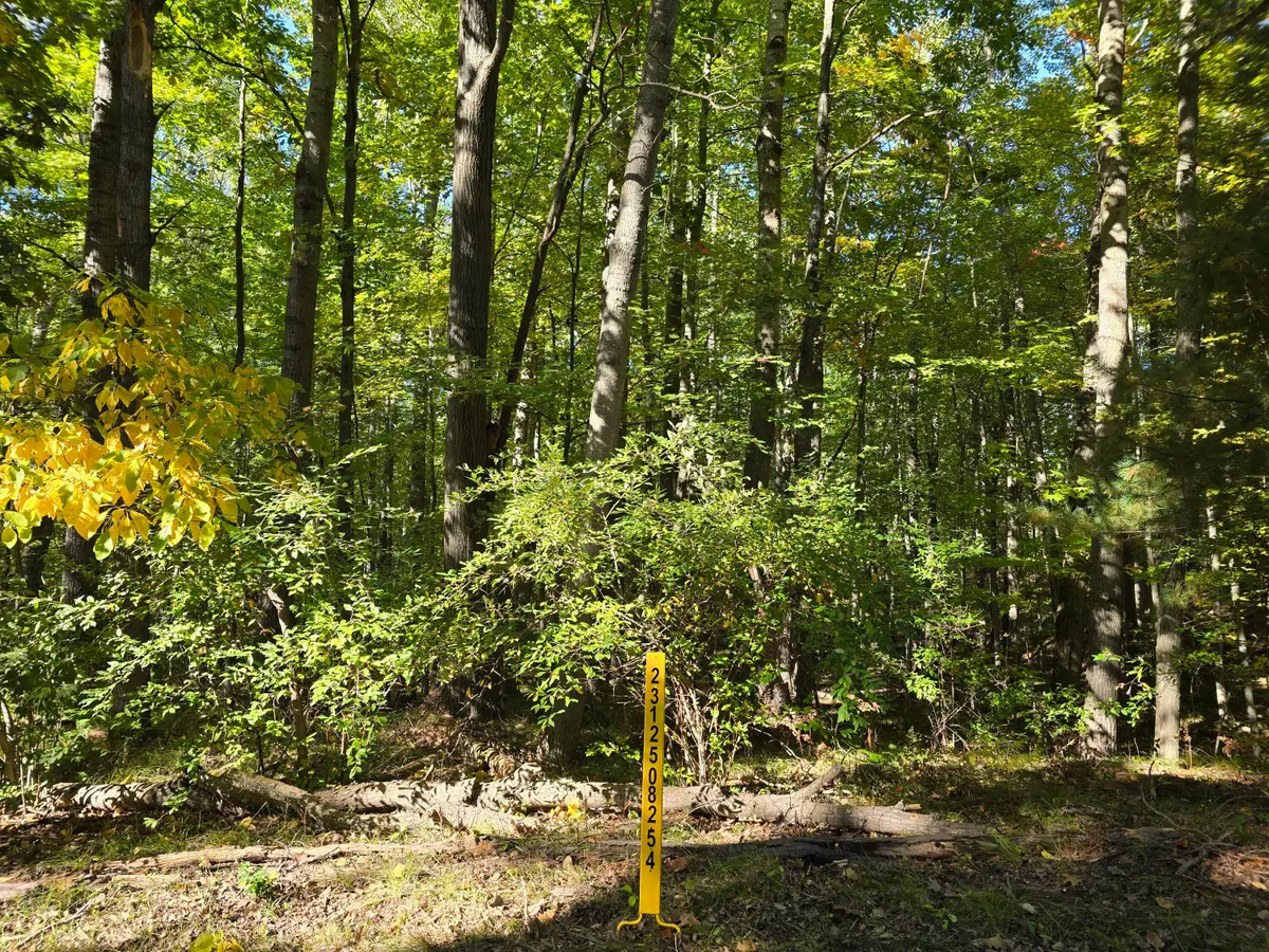 11980 Cape Breton Drive, Canadian Lakes, MI 49346 - #1
