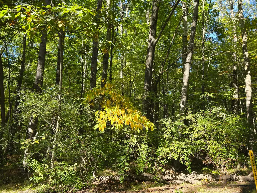 11980 Cape Breton Drive, Canadian Lakes, MI 49346 - #3