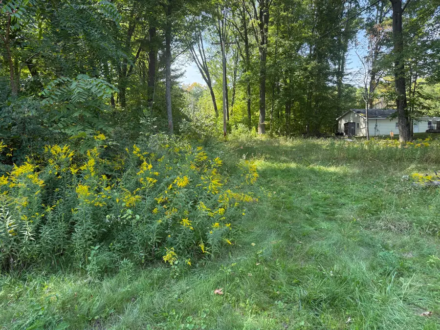 Carol Street, Newaygo, MI 49337 - #3
