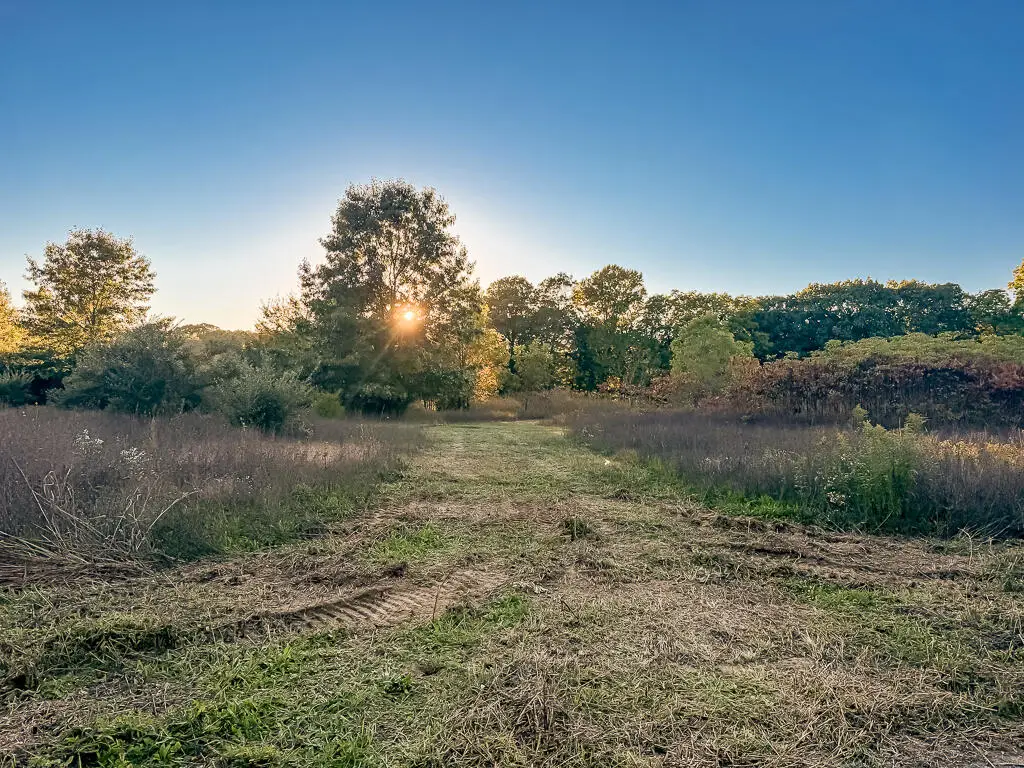 3324 Pine Glen Drive #Lot G, Saugatuck, MI 49453 - #1