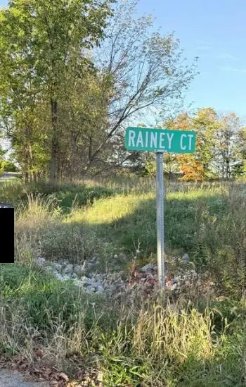 6637 Rainey Court Se, Caledonia, MI 49316 - #1