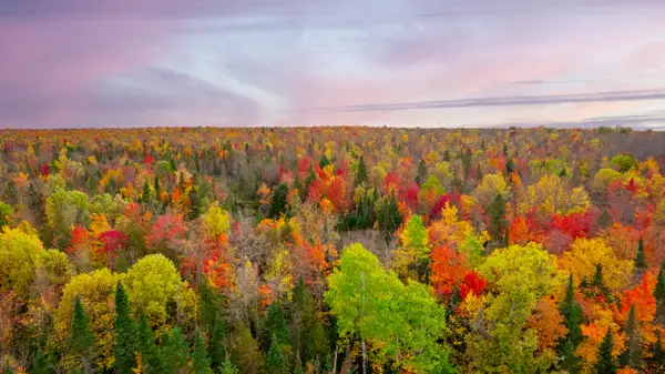 Lot 03 E Shore Road, Bergland, MI 49910