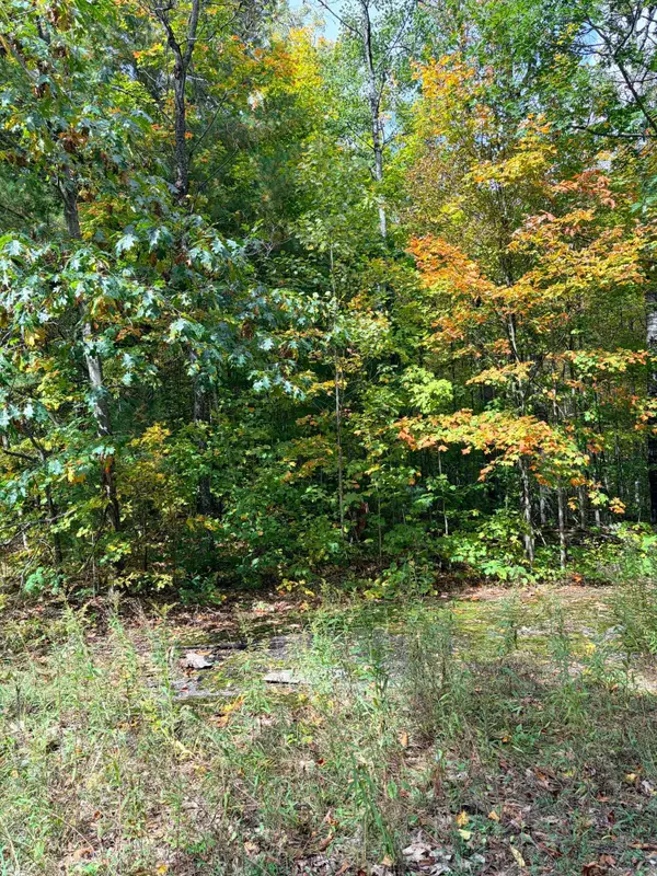 VL Bruun Trail, Frederic, MI 49733