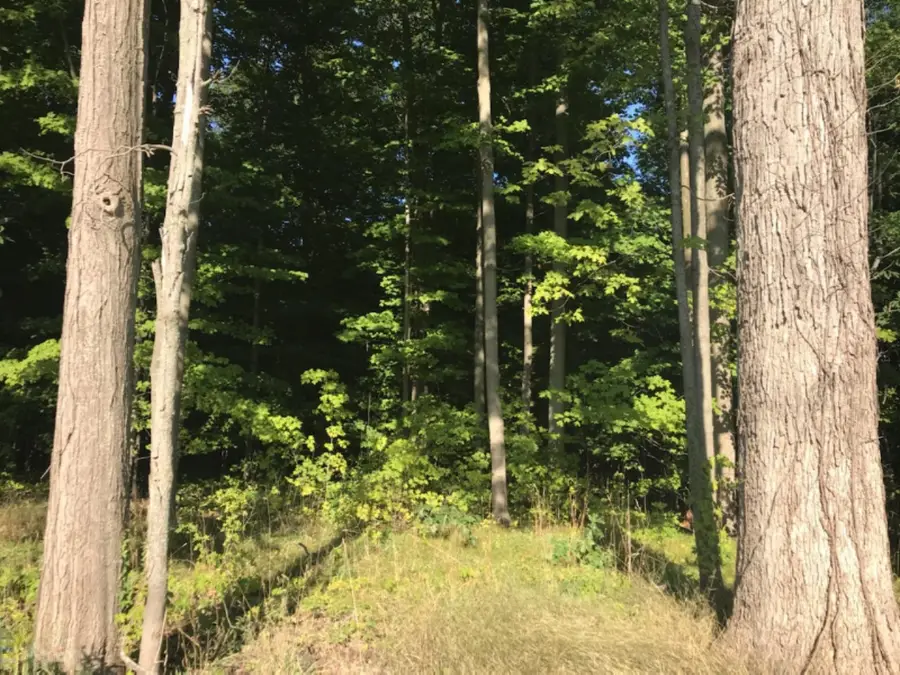 40 62nd Street, Decatur, MI 49045 - #2