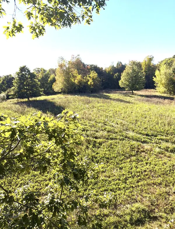 Mccain Road, Spring Arbor, MI 49283