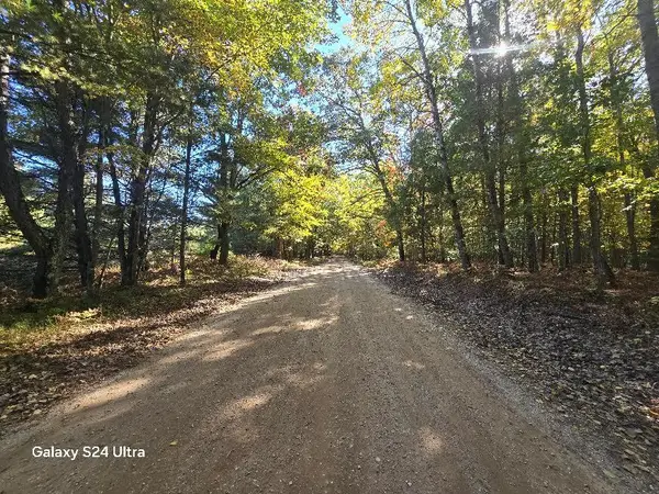 00 N 11 Mile Road, Irons, MI 49644