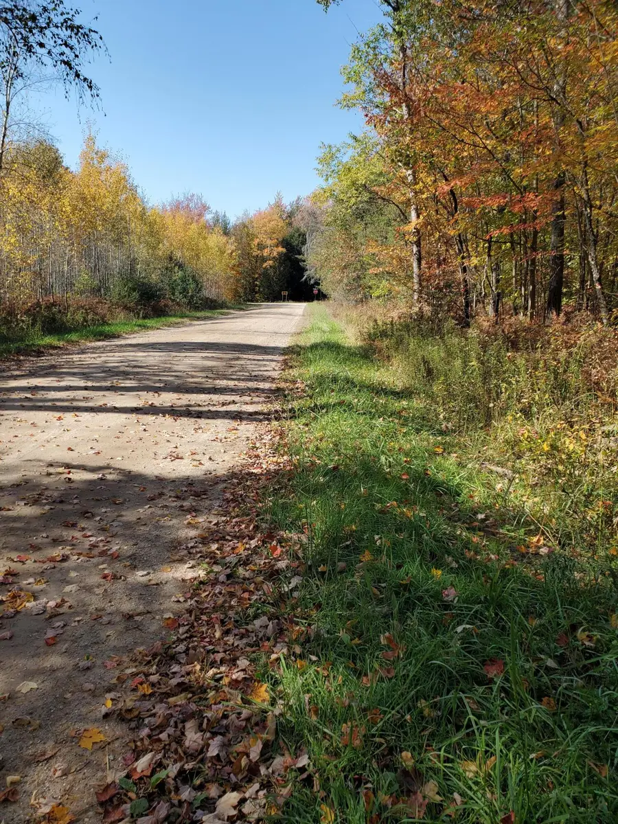 11326 Berg Road, Kaleva, MI 49645 - #2