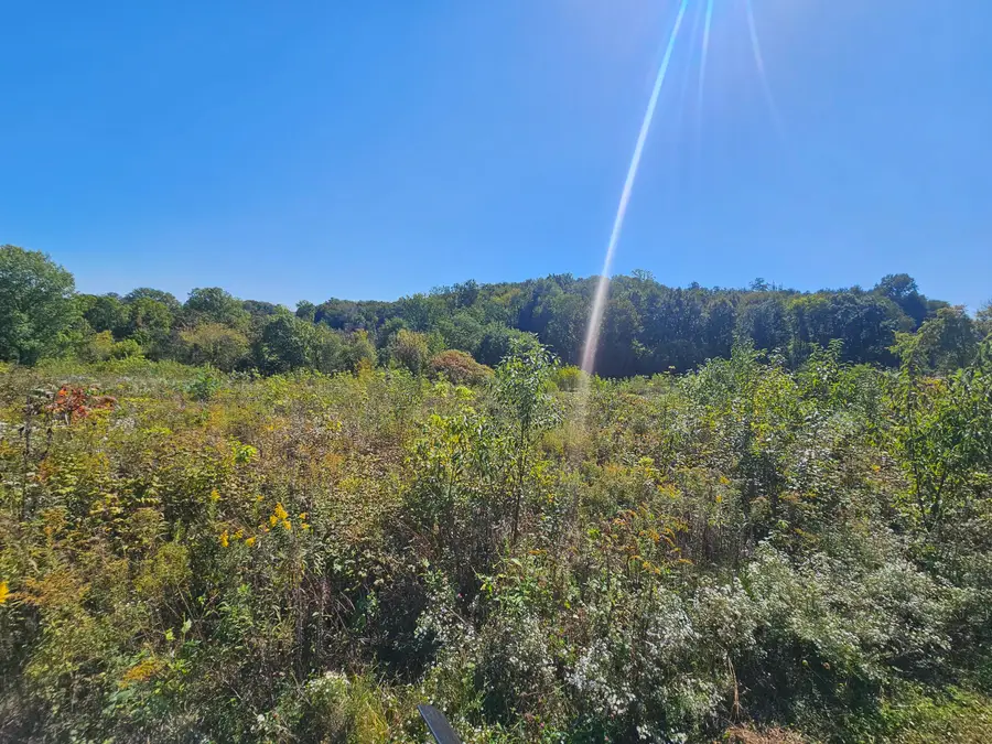 Fleisher Lane, Berrien Springs, MI 49103 - #2
