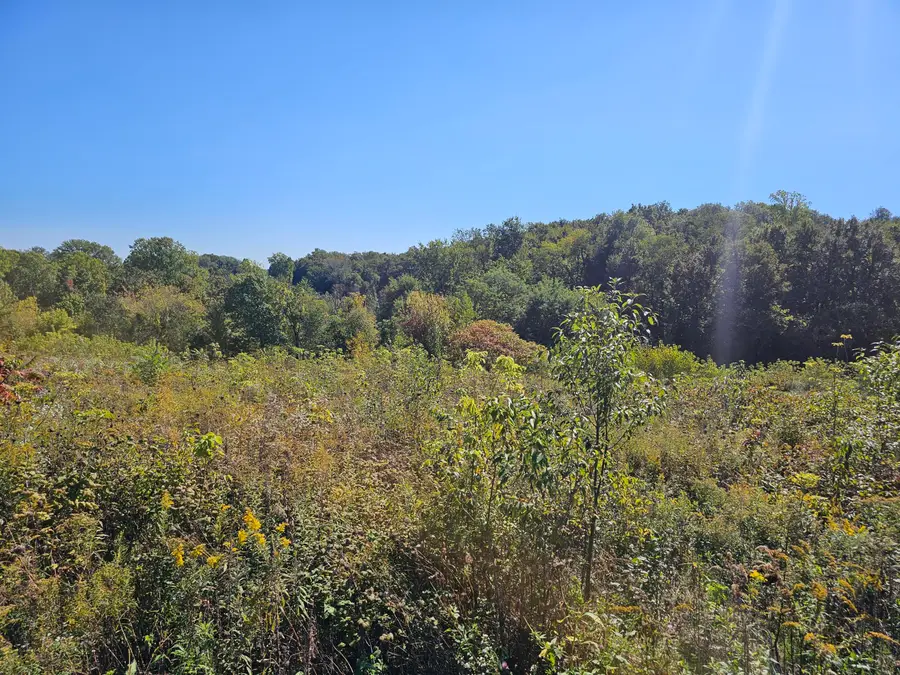 Fleisher Lane, Berrien Springs, MI 49103 - #3