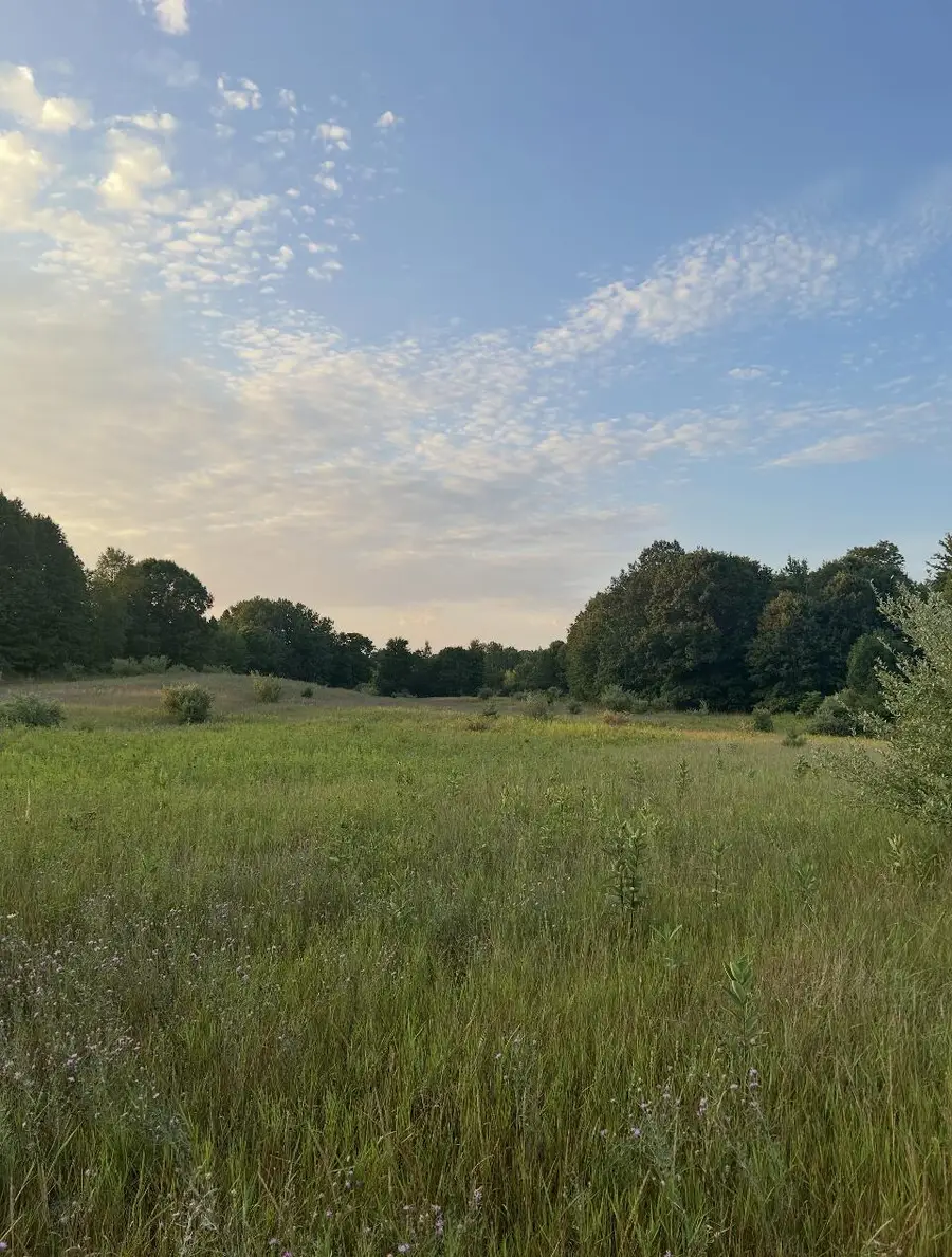 V/L E Pierce Road, Shelby, MI 49455 - #2