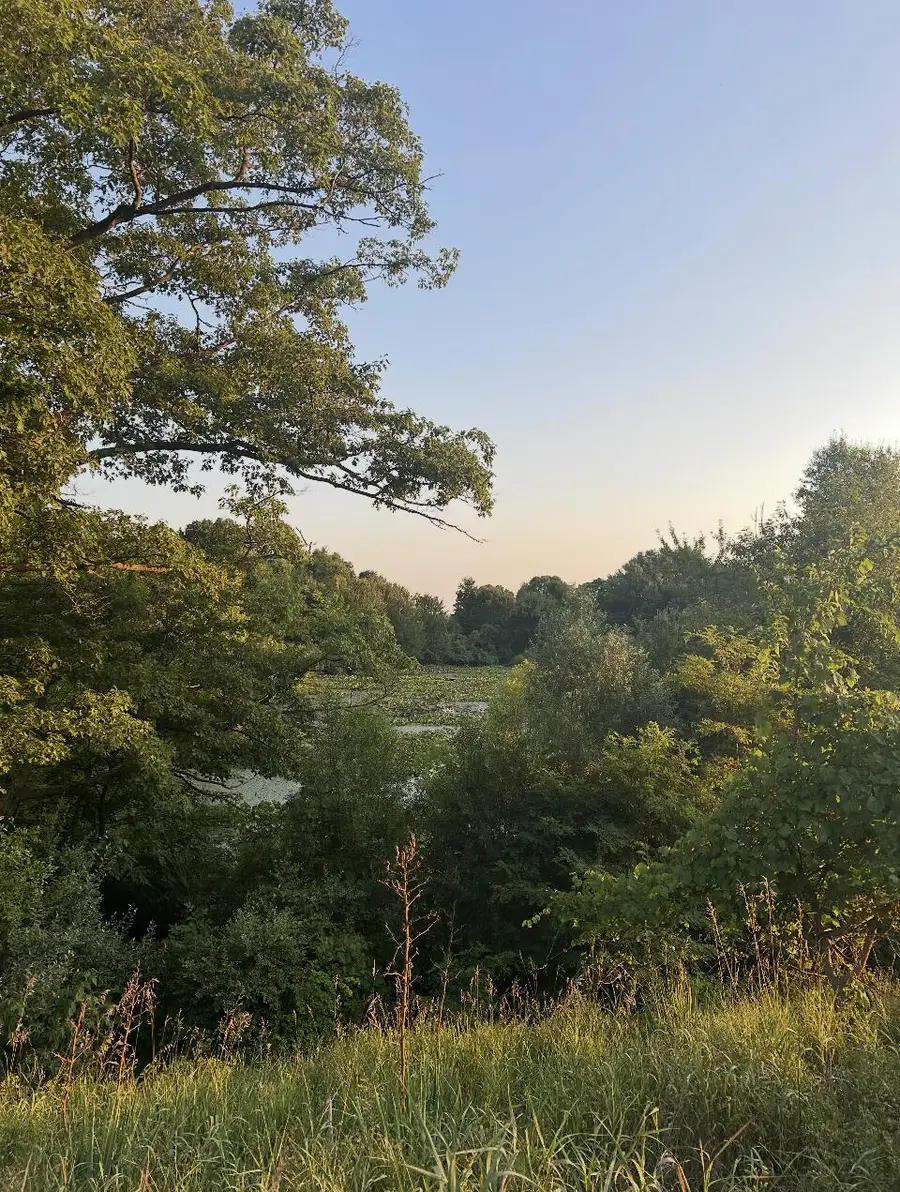 V/L E Pierce Road, Shelby, MI 49455 - #3