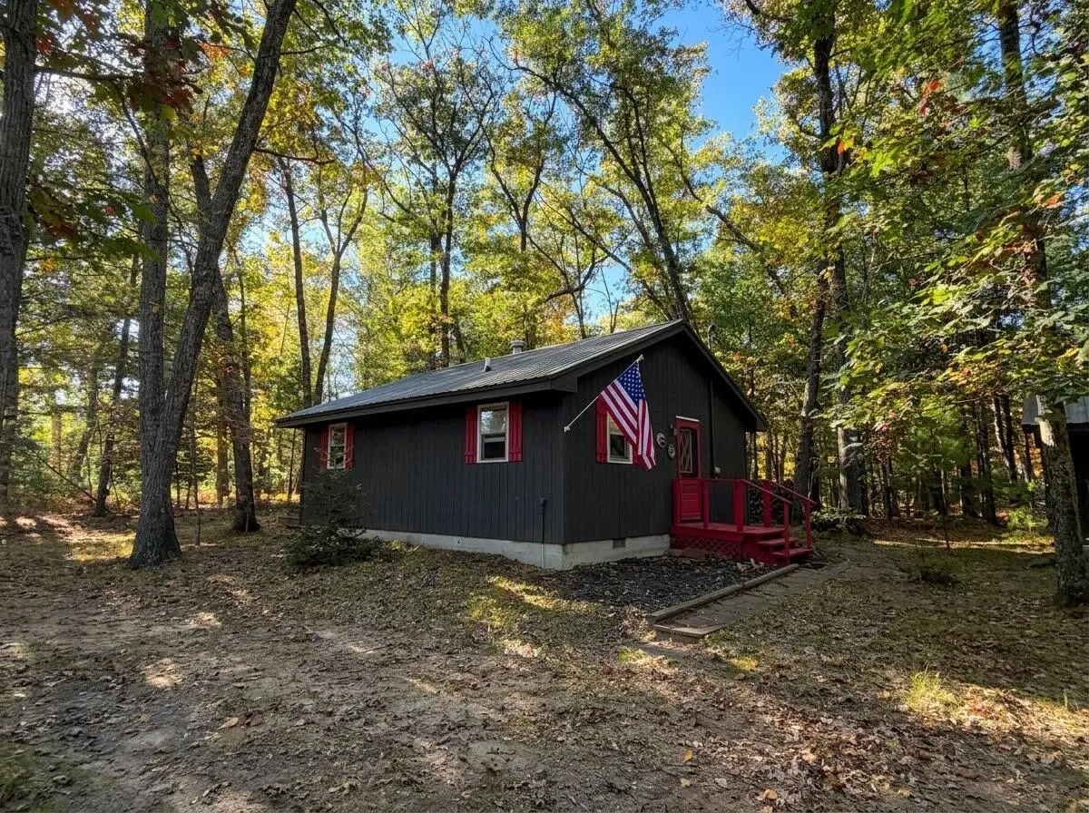 9847 S Orchid Avenue, Baldwin, MI 49304 - #1
