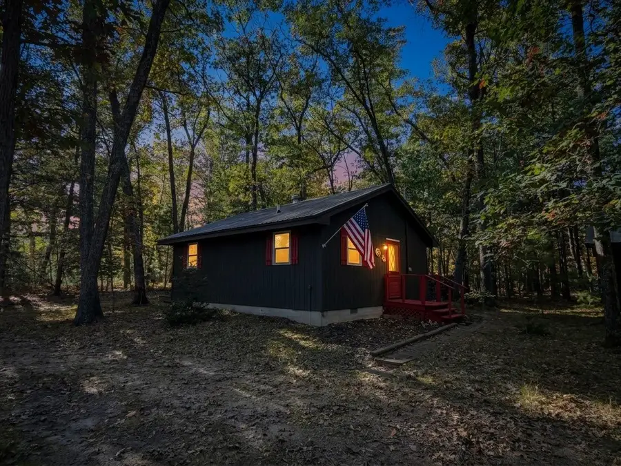9847 S Orchid Avenue, Baldwin, MI 49304 - #3