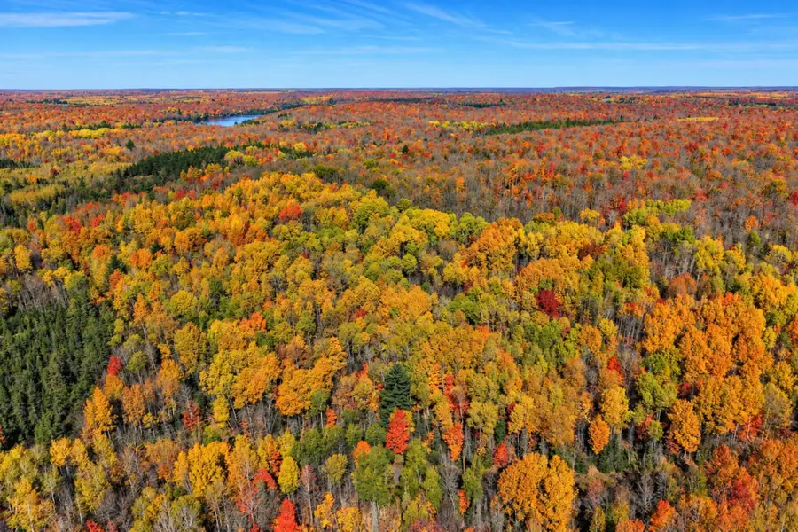 00000 Sheltrow Road, Crystal Falls, MI 49920 - #2