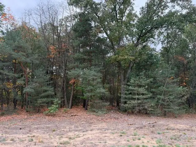 1254 E Ellis Road, Norton Shores, MI 49441 - #3