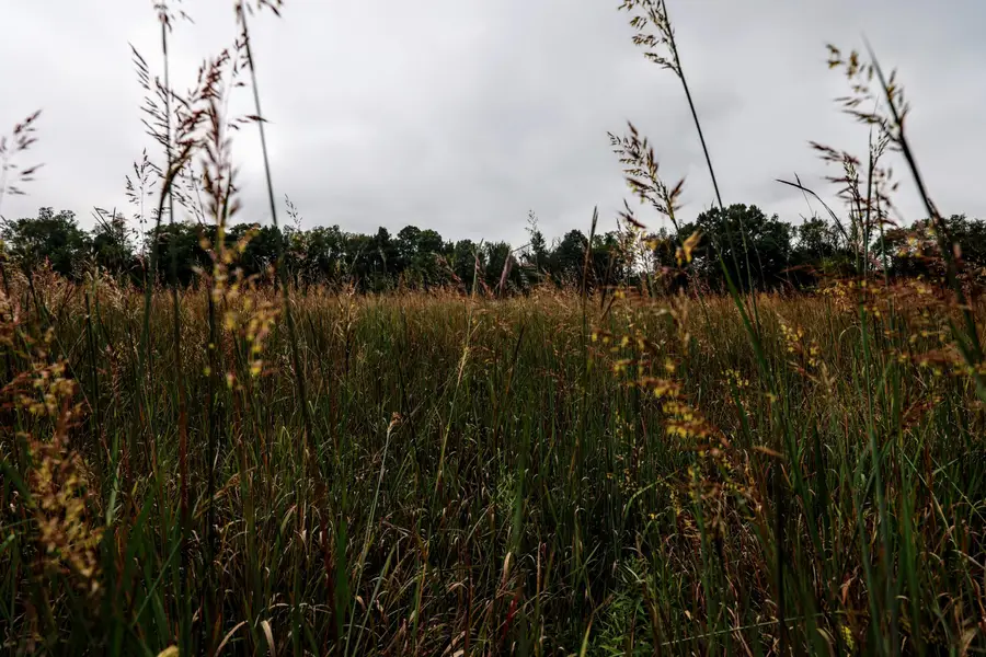 VL 22 Mile Road, Homer, MI 49245 - #2