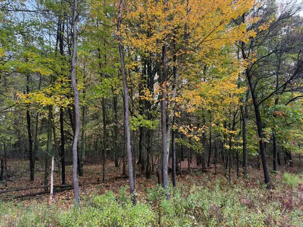 0 Nord Road, Muskegon, MI 49445