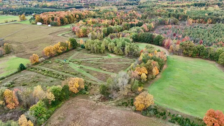 V/L 20th Avenue, Blanchard, MI 49310 - #2