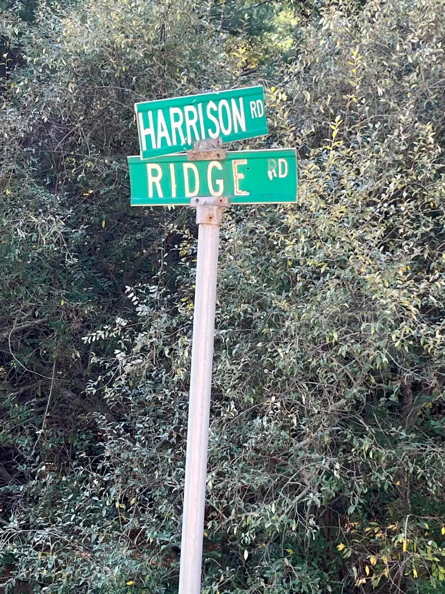 8150 W Harrison Road #Lot 3, Mears, MI 49436 - #2