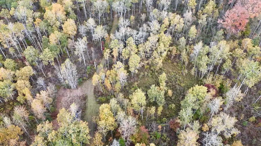 000 E Washington Road, Clare, MI 48617 - #2