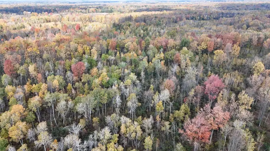 000 E Washington Road, Clare, MI 48617 - #3