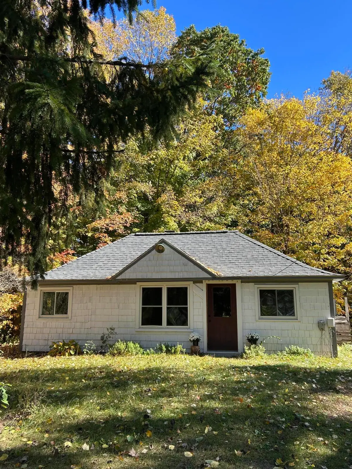 10062 S Osborn Avenue, Fremont, MI 49412 - #1