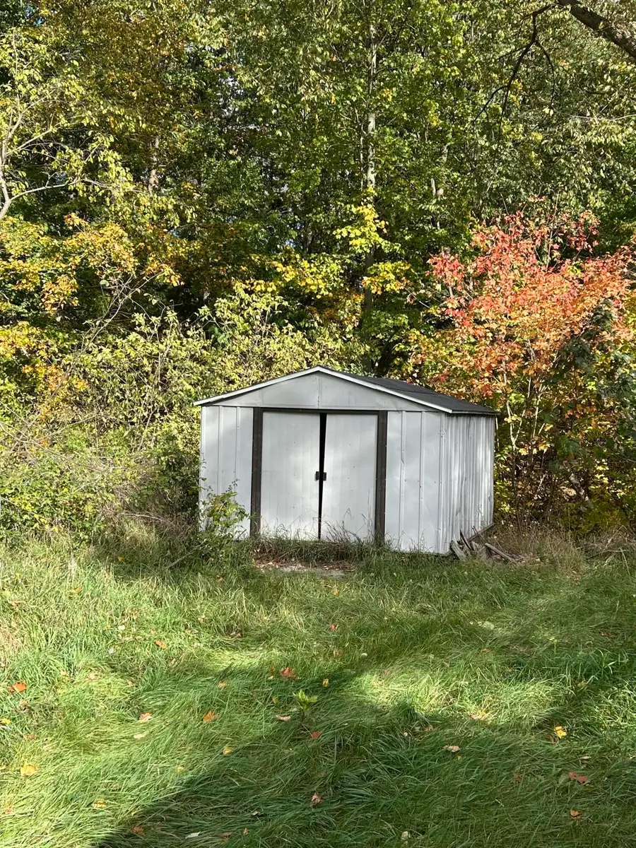 10062 S Osborn Avenue, Fremont, MI 49412 - #3