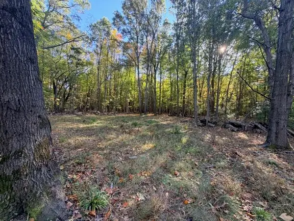 Michillinda Road, Whitehall, MI 49461