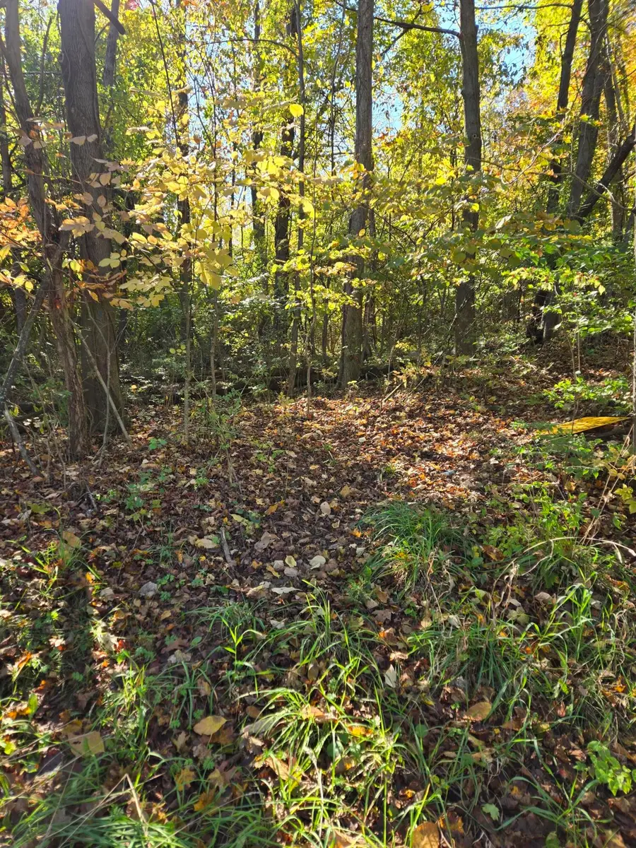 116 W Bacon Street, Hillsdale, MI 49242 - #2