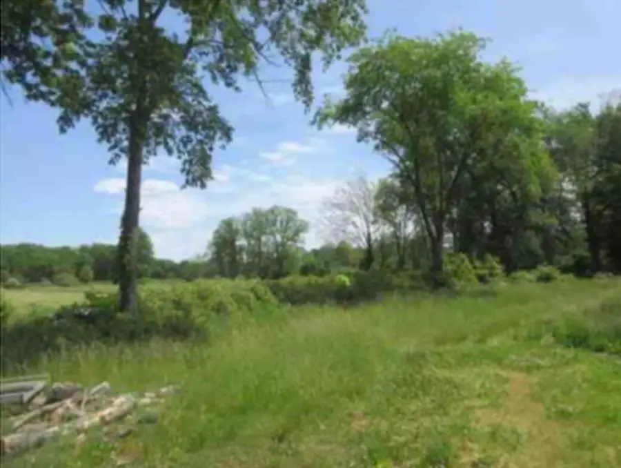13240 Lincoln Street, Grand Haven, MI 49417 - #2