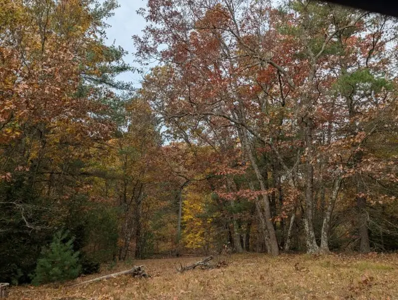 V/L W Crystal Lake Road, Whitehall, MI 49461 - #1
