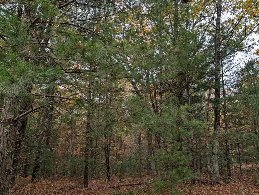 V/L W Crystal Lake Road, Whitehall, MI 49461 - #2