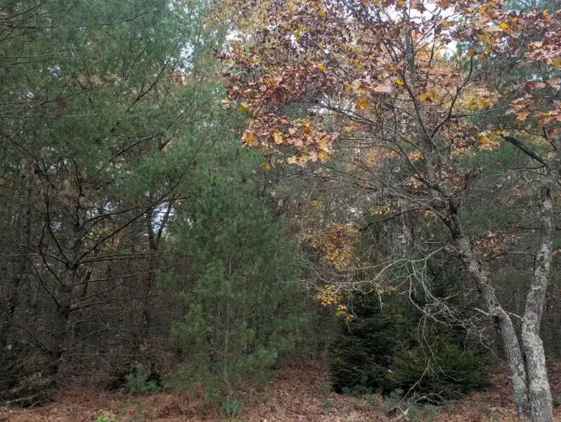 V/L W Crystal Lake Road, Whitehall, MI 49461 - #3