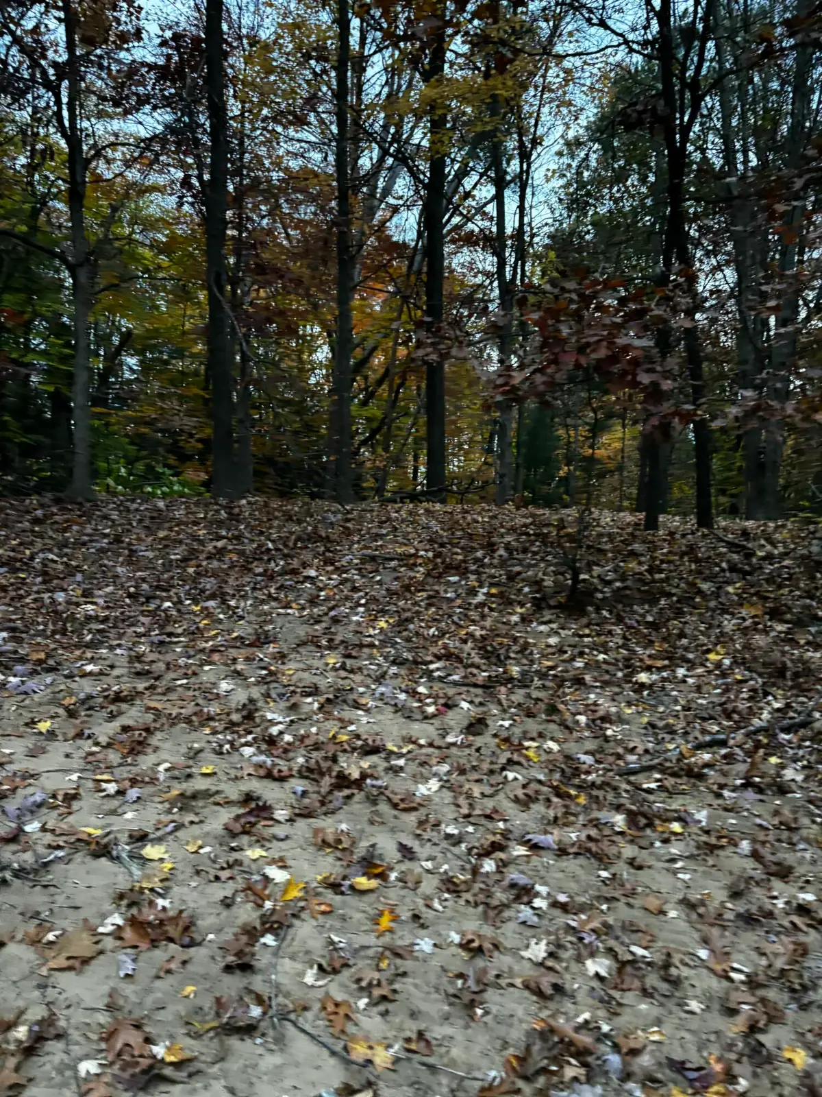 S Carr Road, Fruitport, MI 49415 - #1