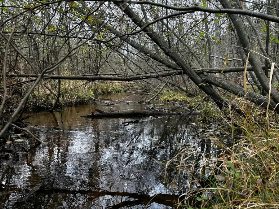 S Carr Road, Fruitport, MI 49415 - #2