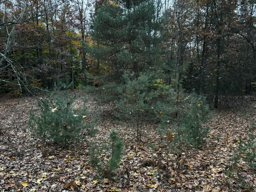 S Carr Road, Fruitport, MI 49415 - #3