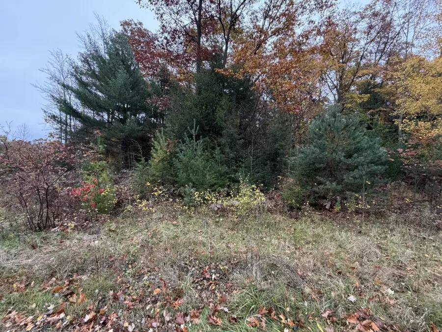 Duck Creek Lane, Whitehall, MI 49461 - #2