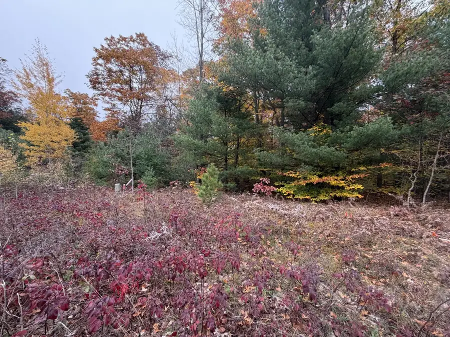 Duck Creek Lane, Whitehall, MI 49461 - #3