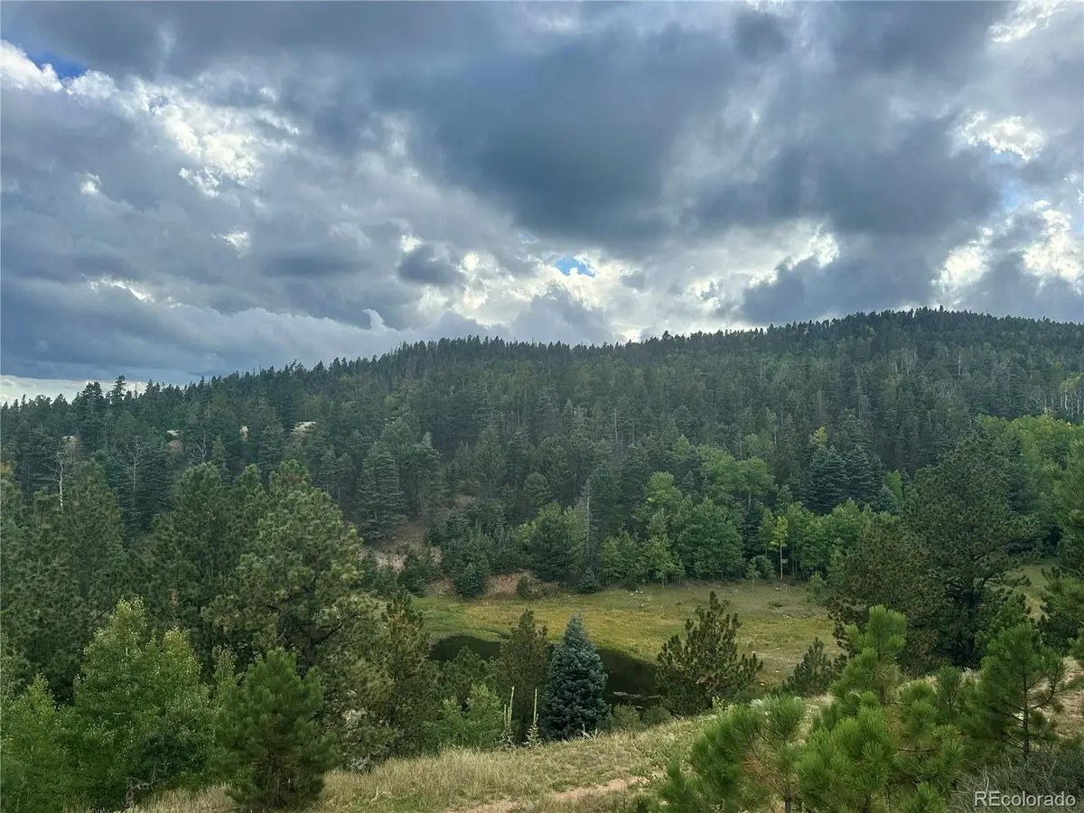 9010 County Road 21.1, Weston, CO 81020 - Image #1