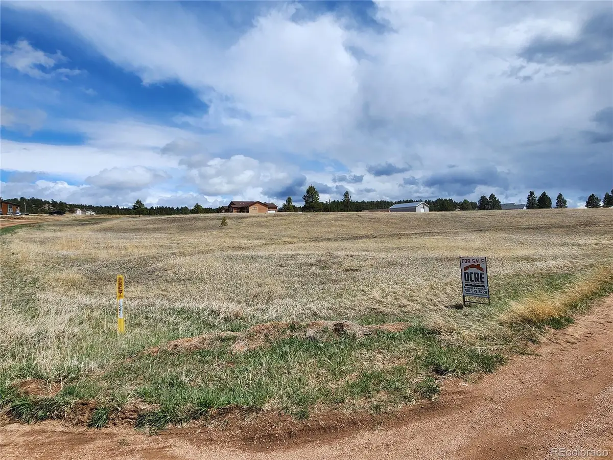 714 Empire Road, Florissant, CO 80816 - #1