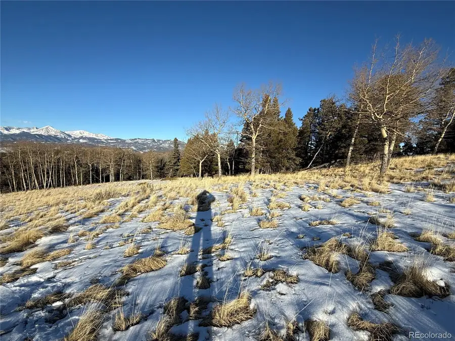 Lot 499 Collinson Drive, Fort Garland, CO 81133 - Image #2