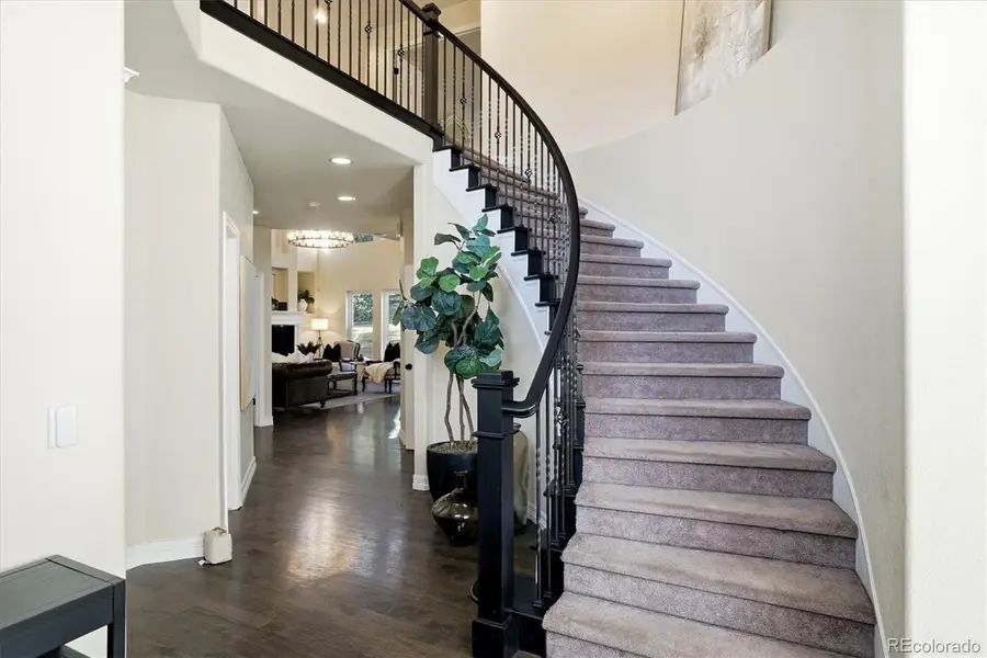 3665 Elk Run, Castle Rock, CO 80109 - #3