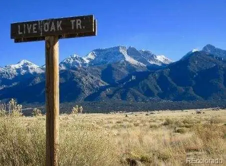 412 Camino Del Rey, Crestone, CO 81131 - #1