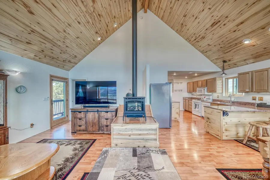 229 Ladigo Lane, Hartsel, CO 80449 - #3