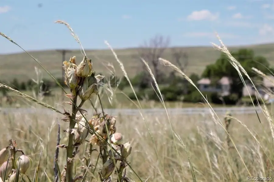Tract 12 Mcclelland Road, Calhan, CO 80808 - #3